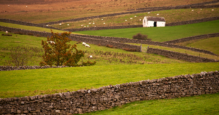 view of the countyside during autumn in Upper Teesdale in the Durham Dales